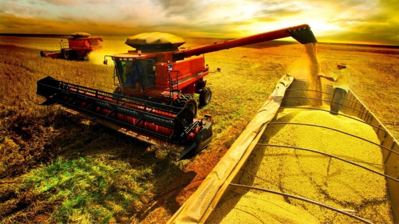 logistica-para-a-producao-do-agronegocio