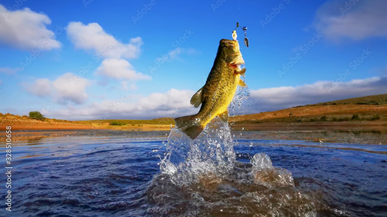 pesca esportiva