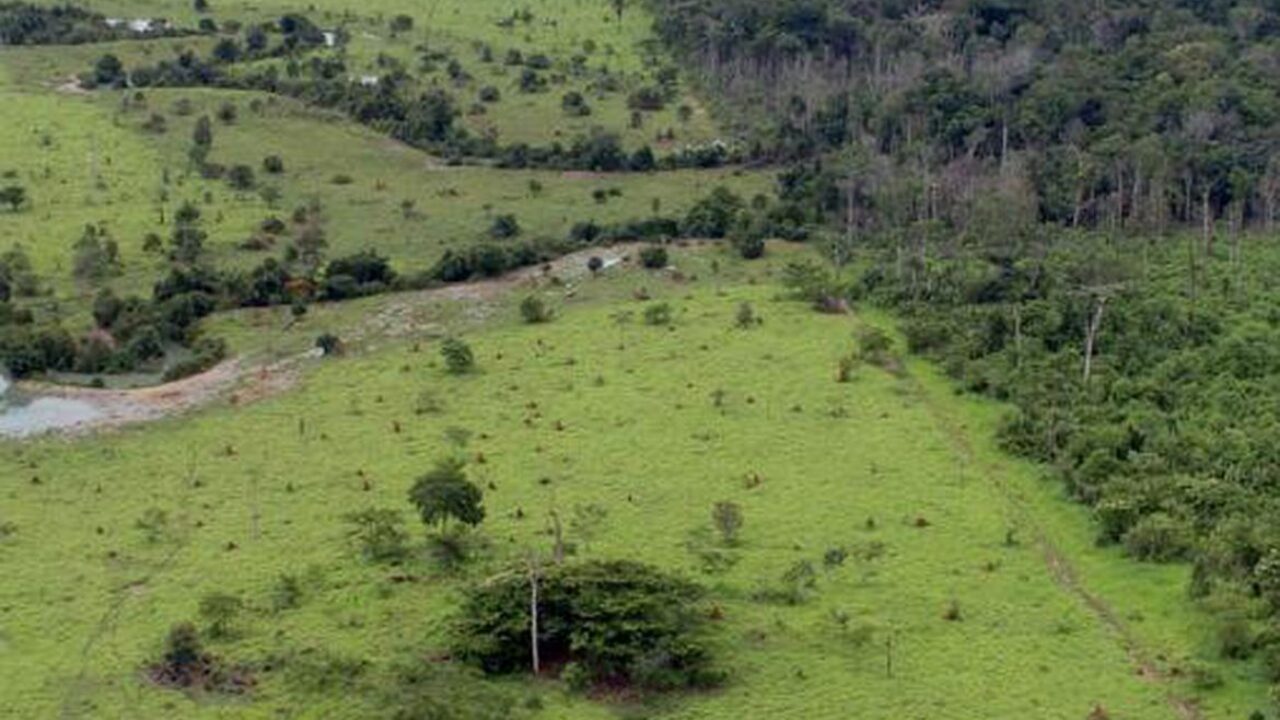 projeto_rural_na_amazonia_-_pnud