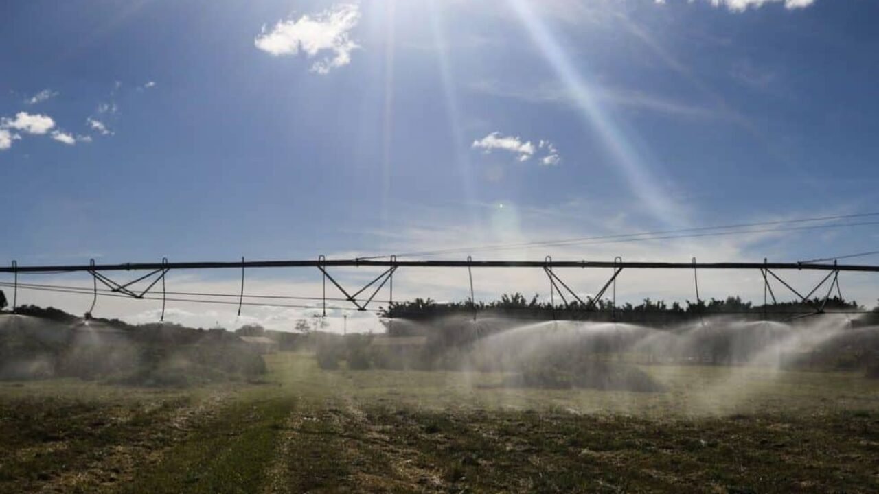 vac_abr_10061916762_0-980x735